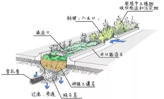 雨水花园