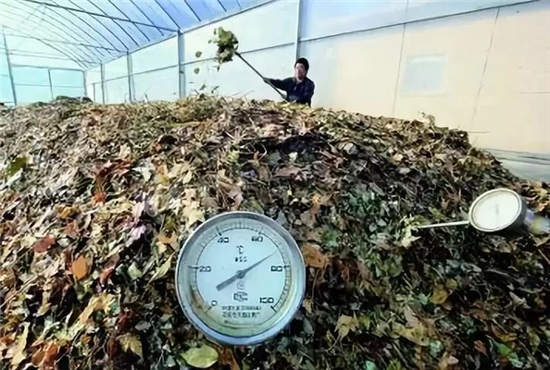 堆肥处理 垃圾堆肥是利用垃圾或土壤中存在的细菌,酵母菌,真菌和放线