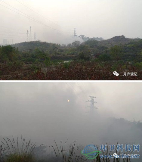 当地某自媒体发布的照片