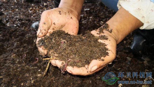 每20吨不值钱的湿垃圾，可以转换成1吨售价在1万多元的蚯蚓活体