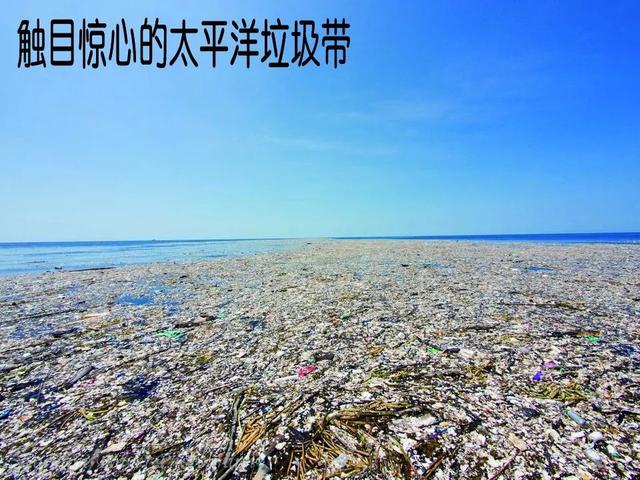 将耗时22年的太平洋清理行动