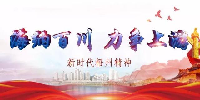 梧州市生活垃圾焚烧发电厂计划明年完工,日处理垃圾可达2000吨