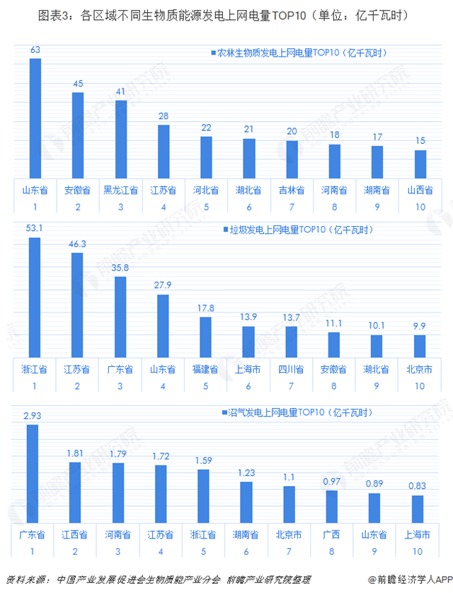 图表3：各区域不同生物质能源发电上网电量TOP10（单位：亿千瓦时）