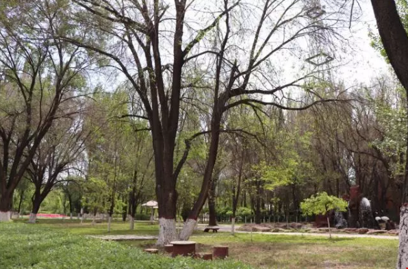 1562811493829108.png 微信截图_20190711101621.png